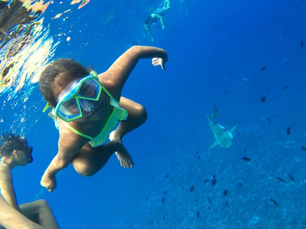 Bora Bora Holiday'S Lodge エクステリア 写真